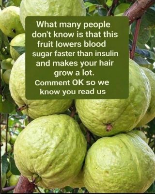 Guava Recipes for Balanced Blood Sugar and Stronger Hair – Natural Remedies that Work