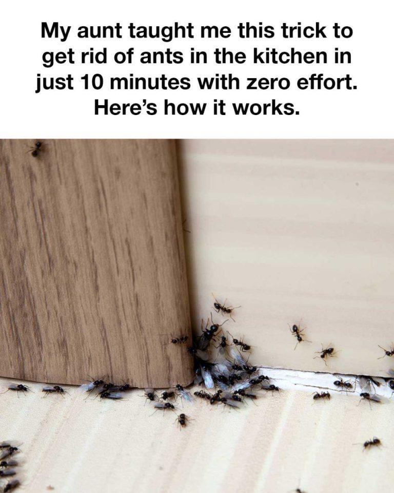 Tried Many Things Before, But This Hack Does the Job for Me!